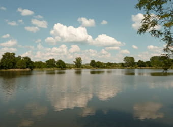L'étang de Marvy à Neuvy-sur-Loire - NEUVY-SUR-LOIRE