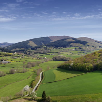 Circuit entre roches et Mont Beuvray