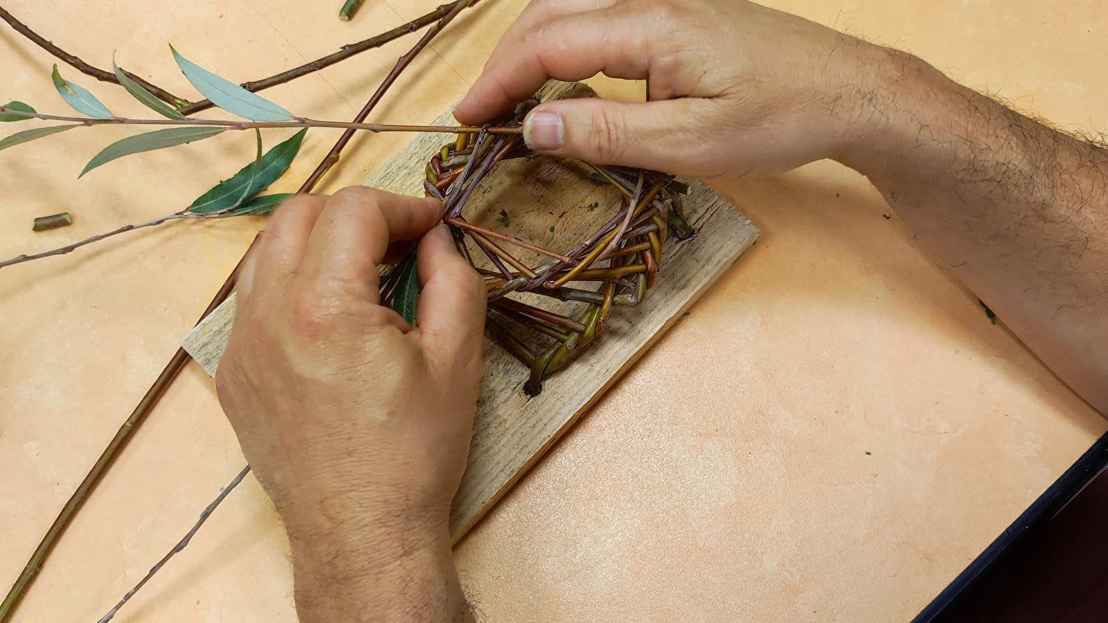 Atelier de vannerie sauvage