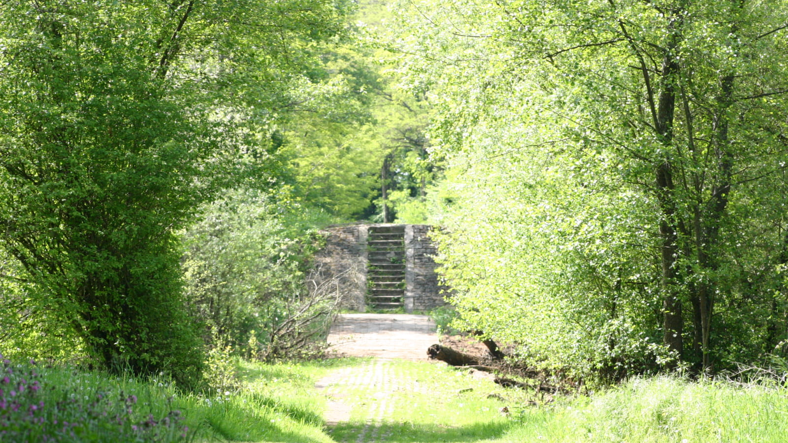 Île de Caqueret