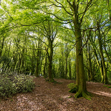 Tour du Morvan des sommets 