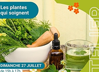 Atelier 'Les plantes qui soignent' - POUILLY-SUR-LOIRE