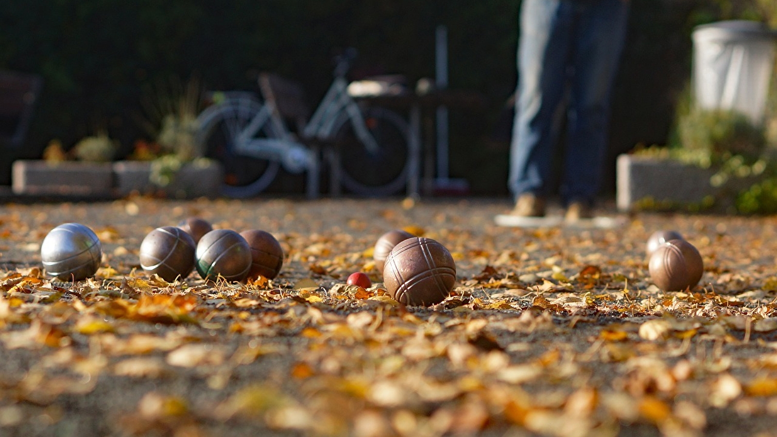 Concours de pétanque
