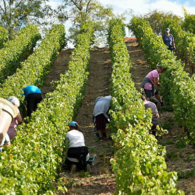 Domaine Serge Dagueneau et Filles