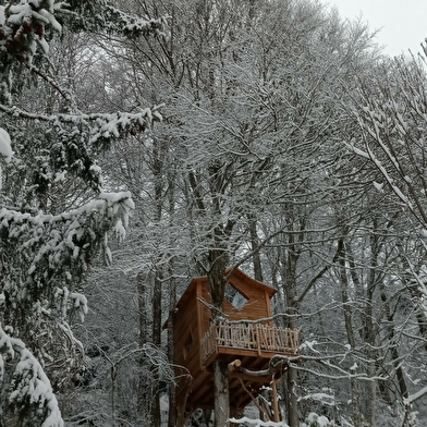 Domaine de Fangorn, Cabane du Druide