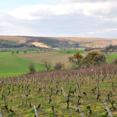 Balades cyclotouristiques en Pays Charitois 