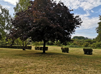 Camping municipal Moulin Naudin - DONZY