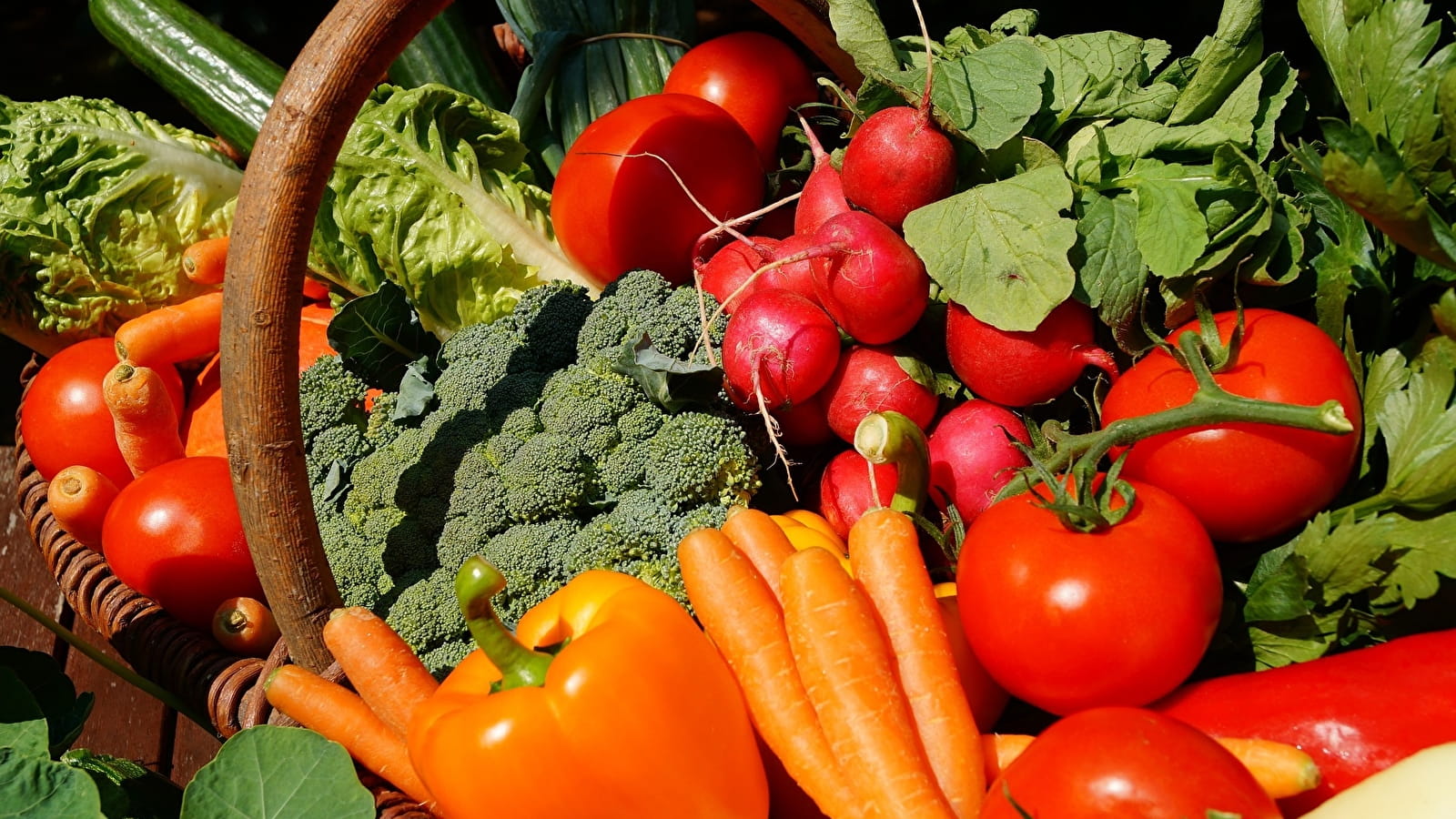 Marché de producteurs hebdomadaire 