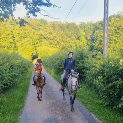 Ferme Equestre et  Chambres d hotes Gateau Stables