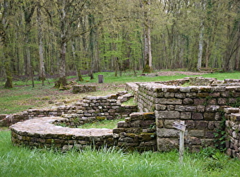 Site Archéologique de Compierre - CHAMPALLEMENT