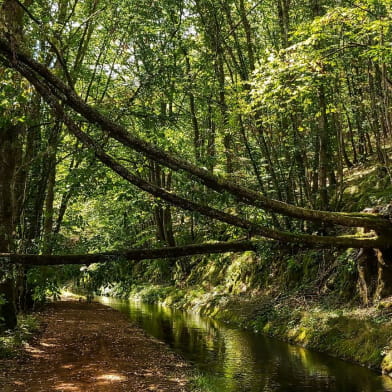 La rigole d'Yonne à VTT