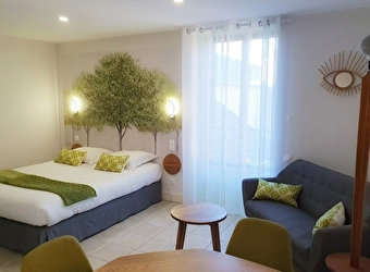 Larbrenville - Studio Hêtre - LA CHARITE-SUR-LOIRE