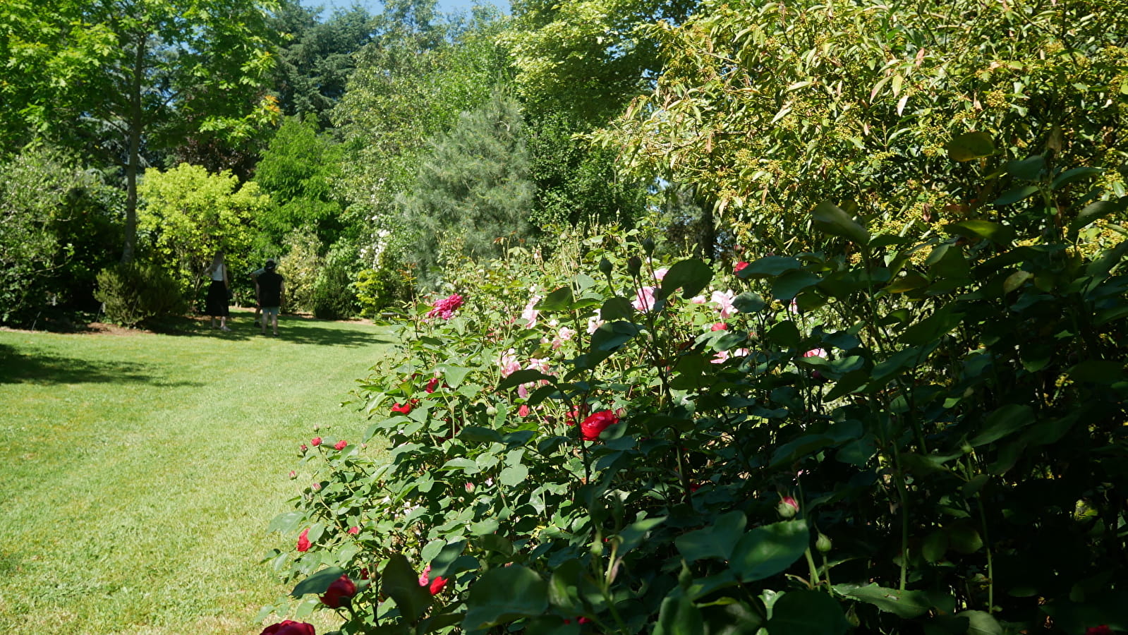 Arboretum Saint Eloi
