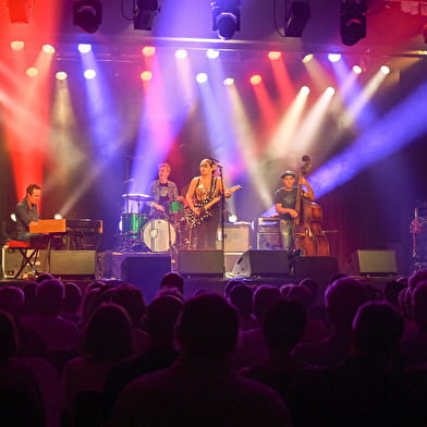 FESTIVAL BLUES EN LOIRE 