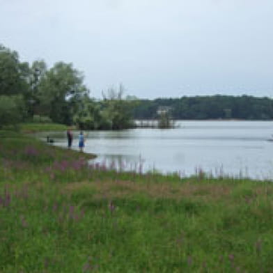 Sentier de la nature des étangs de Baye et Vaux du martin pêcheur 