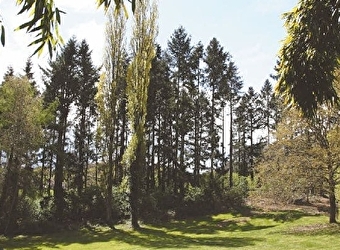 Une journée artistique au Pays Nivernais Morvan - SAINT-SAULGE