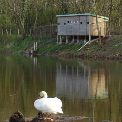 L'étang de Marvy à Neuvy-sur-Loire