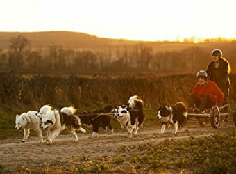 Wood'cie ranch canin - CHEVENON