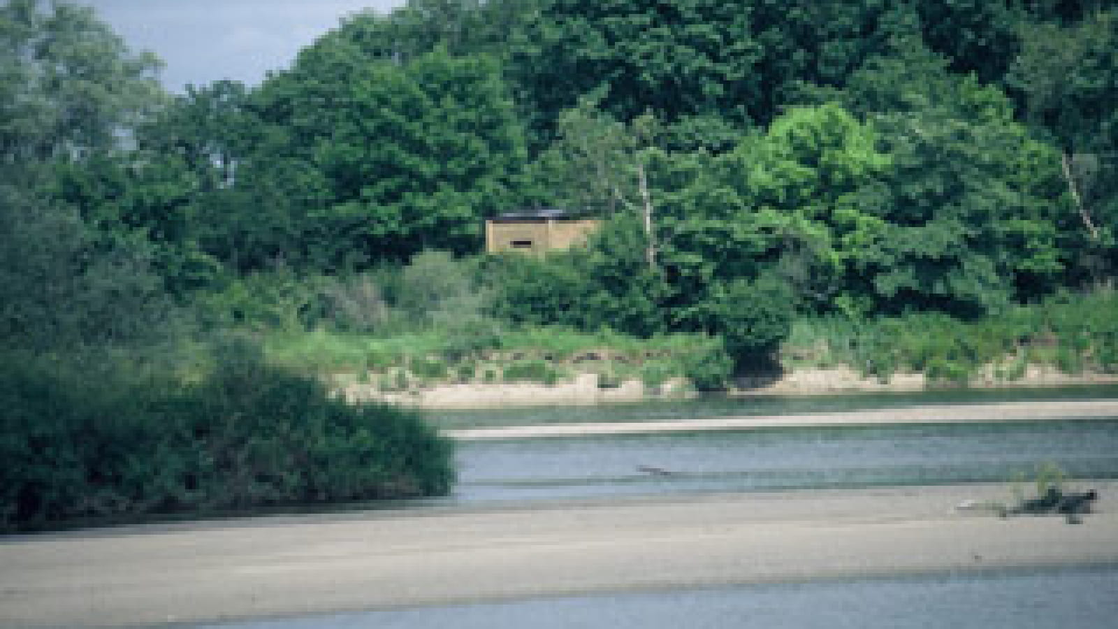 Balade famille : Sentier de découverte du Passeur du Bec d'Allier