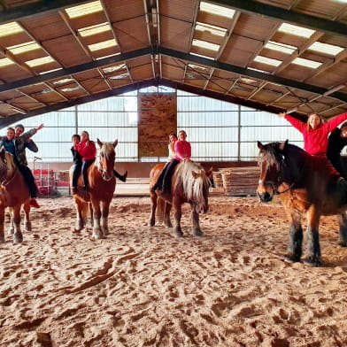 Majaz'L - Centre Equestre du Bois du Loup