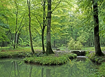 Fontaine des Bougers - RAVEAU