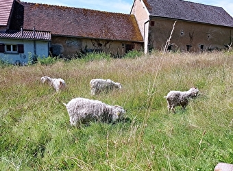 La fermette de Vrinette - SAINT-VERAIN