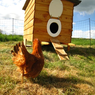 Camping à la ferme du Domaine Neuf