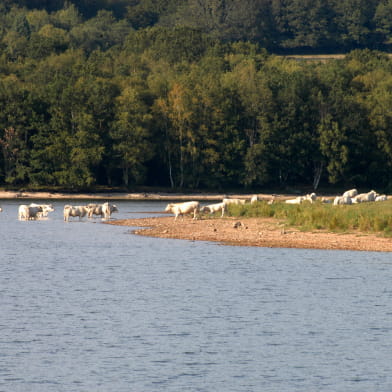 Lac de Saint-Agnan