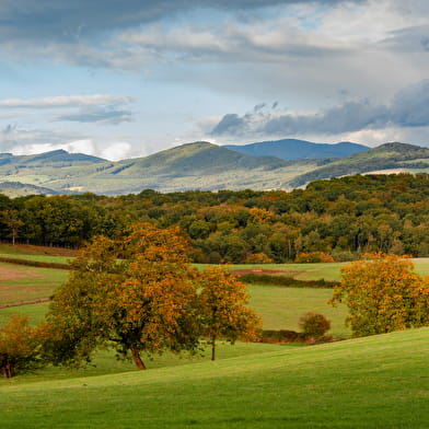 Circuit entre roches et Mont Beuvray