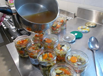 Formation lactofermentation - SAINT-VERAIN