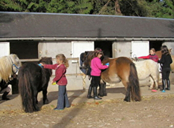 Poney Club et Centre Equestre de Prunevaux - NOLAY