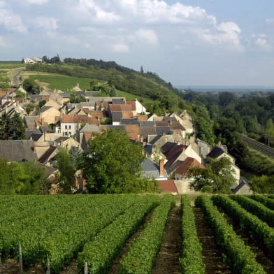 Vignoble de Pouilly-Fumé et Pouilly-sur-Loire