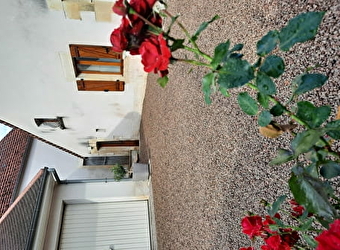 La Rabinaise, maison 3* au coeur du vignoble - SAINT-LAURENT-L'ABBAYE
