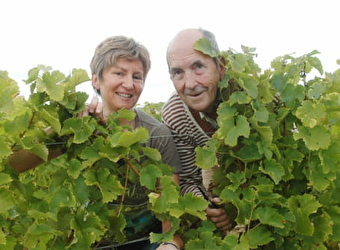 Domaine Landrat-Guyollot - SAINT-ANDELAIN