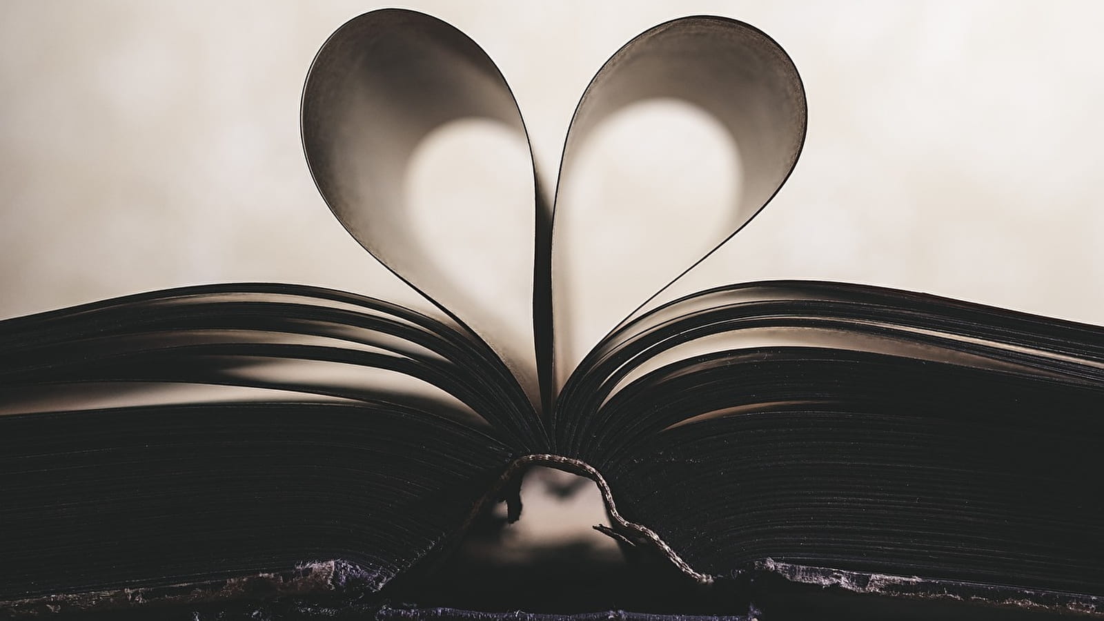 Voyage au cœur du livre