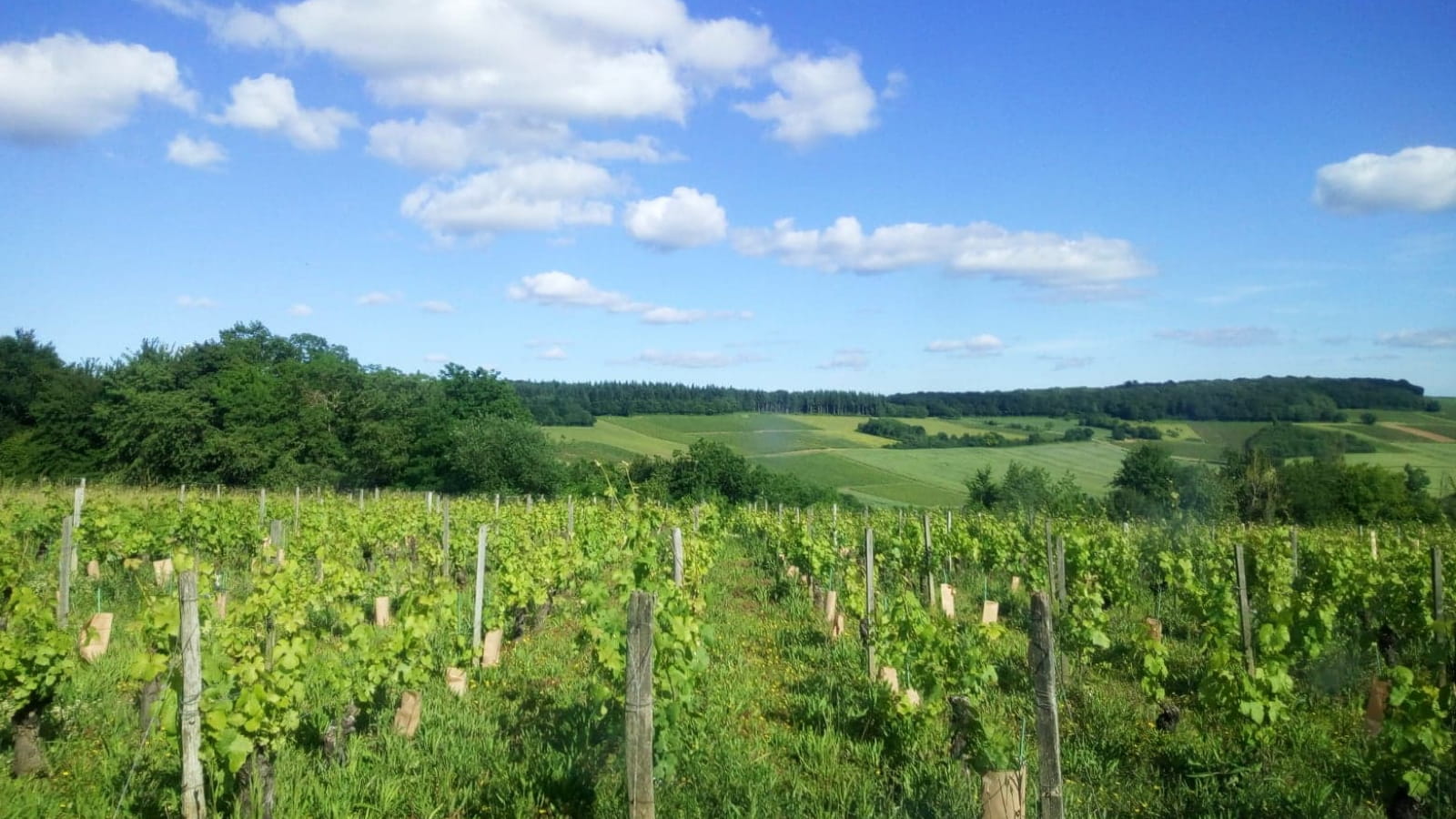 Domaine du Val de Bargis