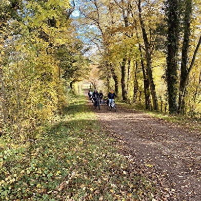 Location de vélos à assistance électrique à Cosne-Cours-sur-Loire