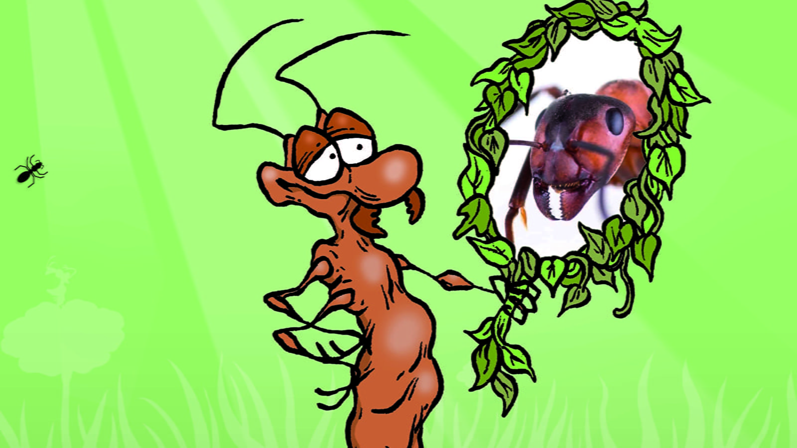 Exposition 'Formidables Fourmis'