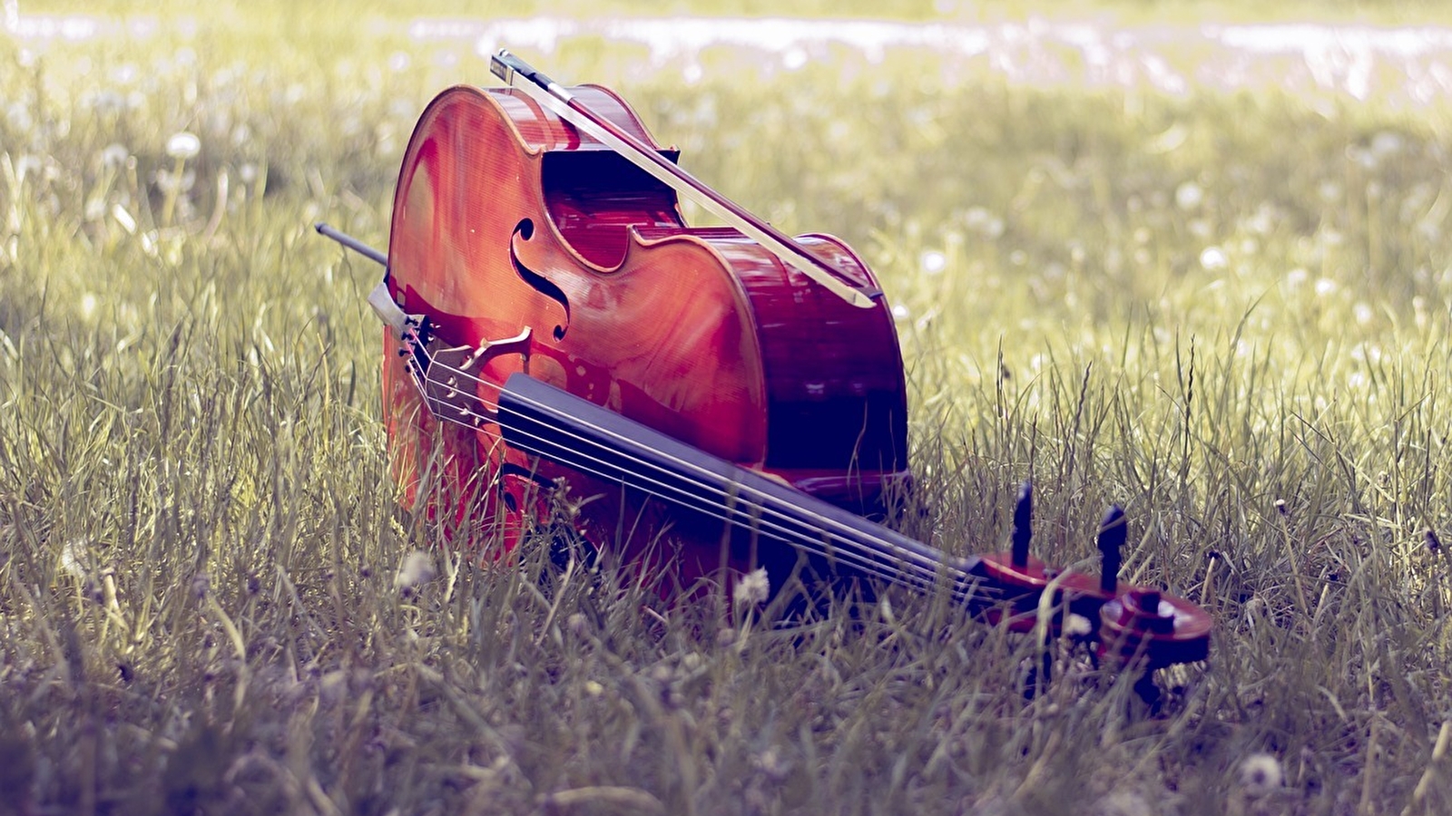 Fête de la musique