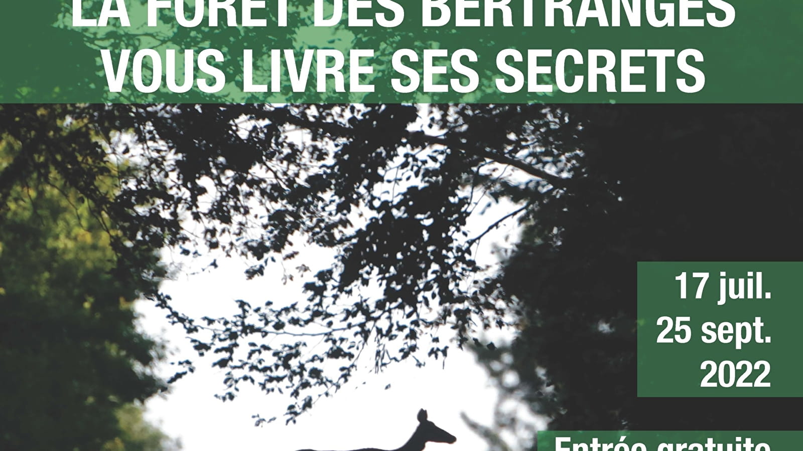 La forêt des Bertranges vous livre ses secrets