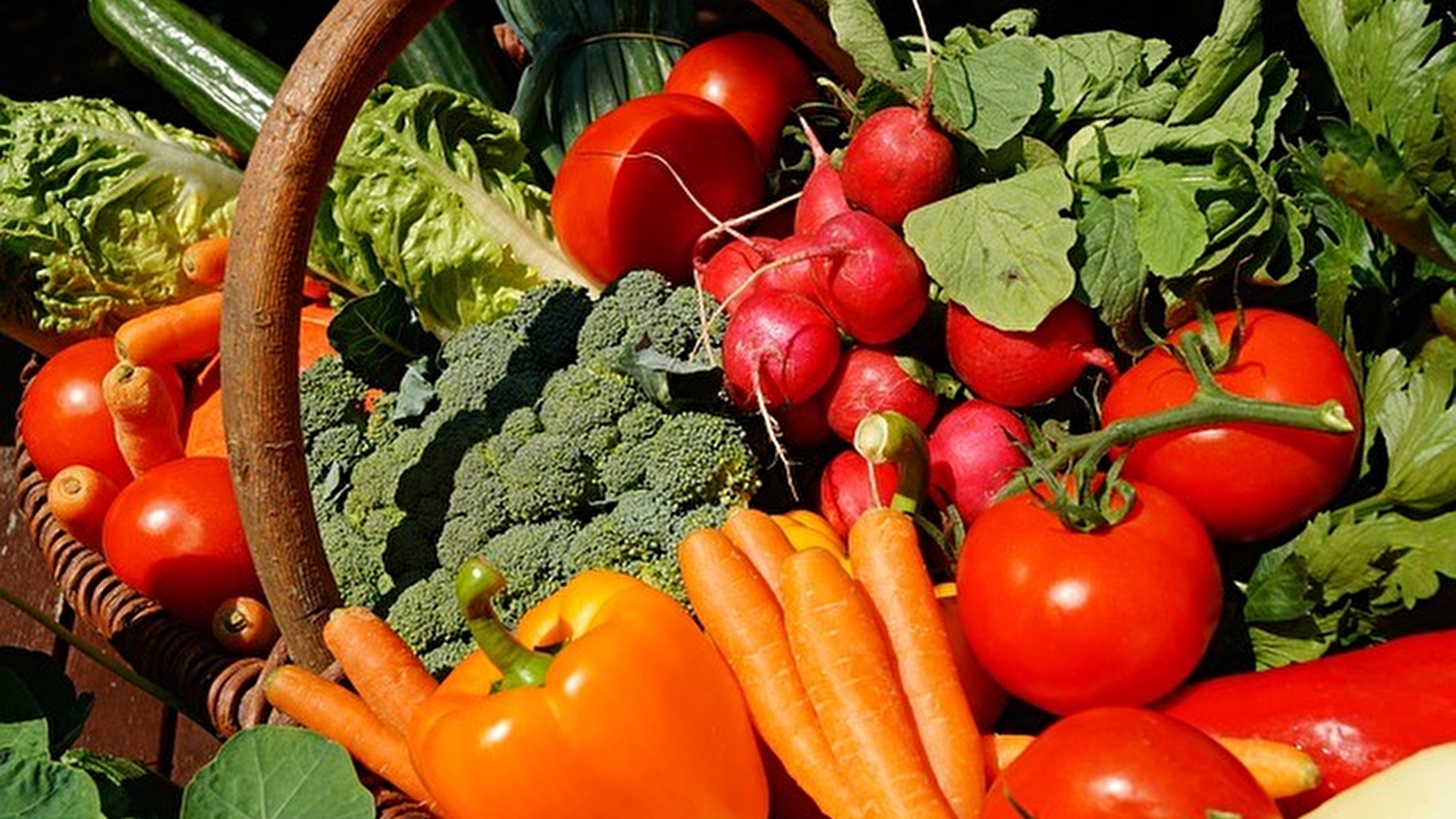 Marché de VARENNES VAUZELLES