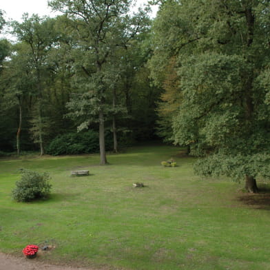 Chambre d'hôtes Gîte de France CB13903 : Chateauvert