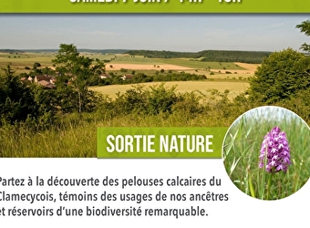 Sortie nature : pelouse calcaires, un patrimoine à préserver - Clamecy 58500