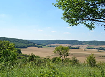 La butte aux orchidées - ARBOURSE
