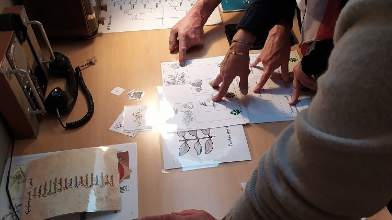 Escape game Enigma Botanica