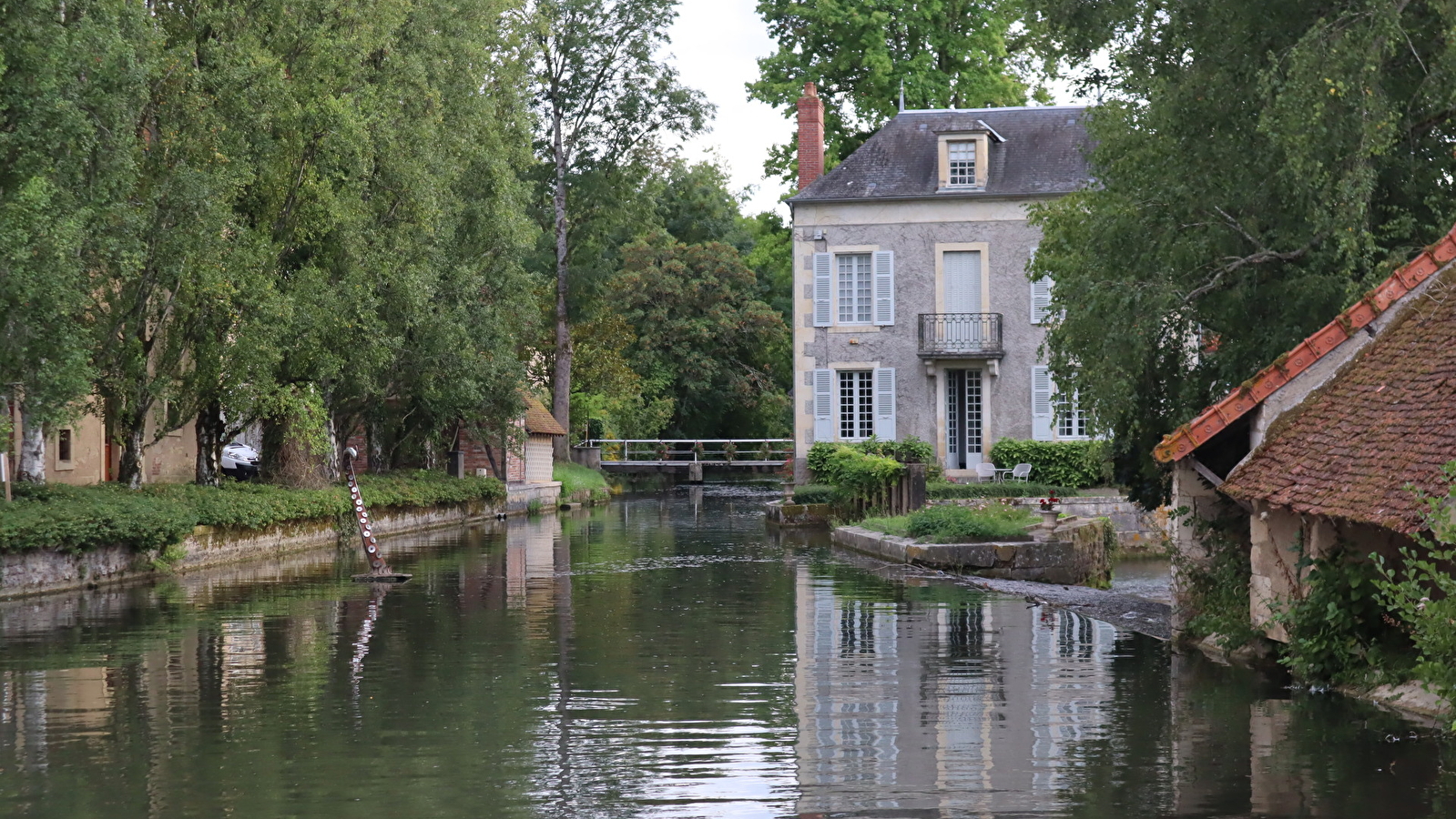Le rallye des grenouilles 2