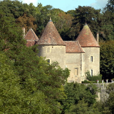 Château de Chitry-les-Mines