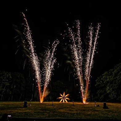 Journée festive et feu d'artifice 