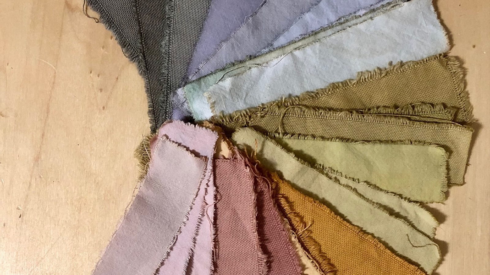 Atelier de teinture végétale