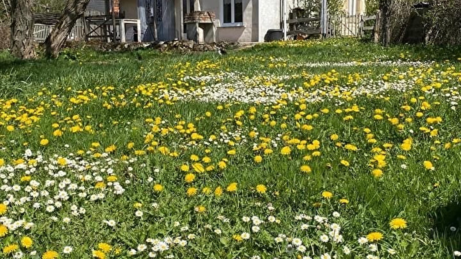 Les Hirondelles d'Anlezy